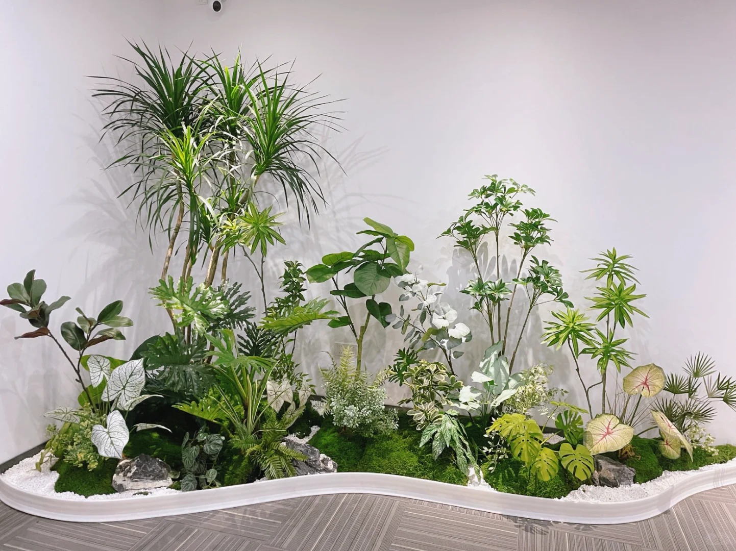 余姚盆景出租，开启清新自然的租赁之旅